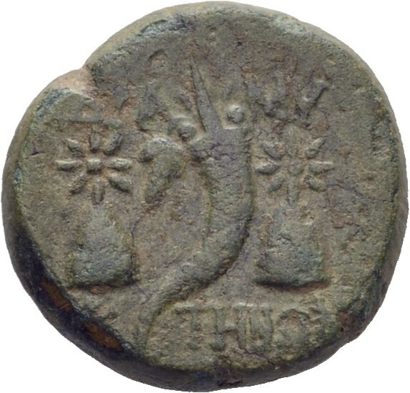 CN Type 3876, реверс, cn-coins