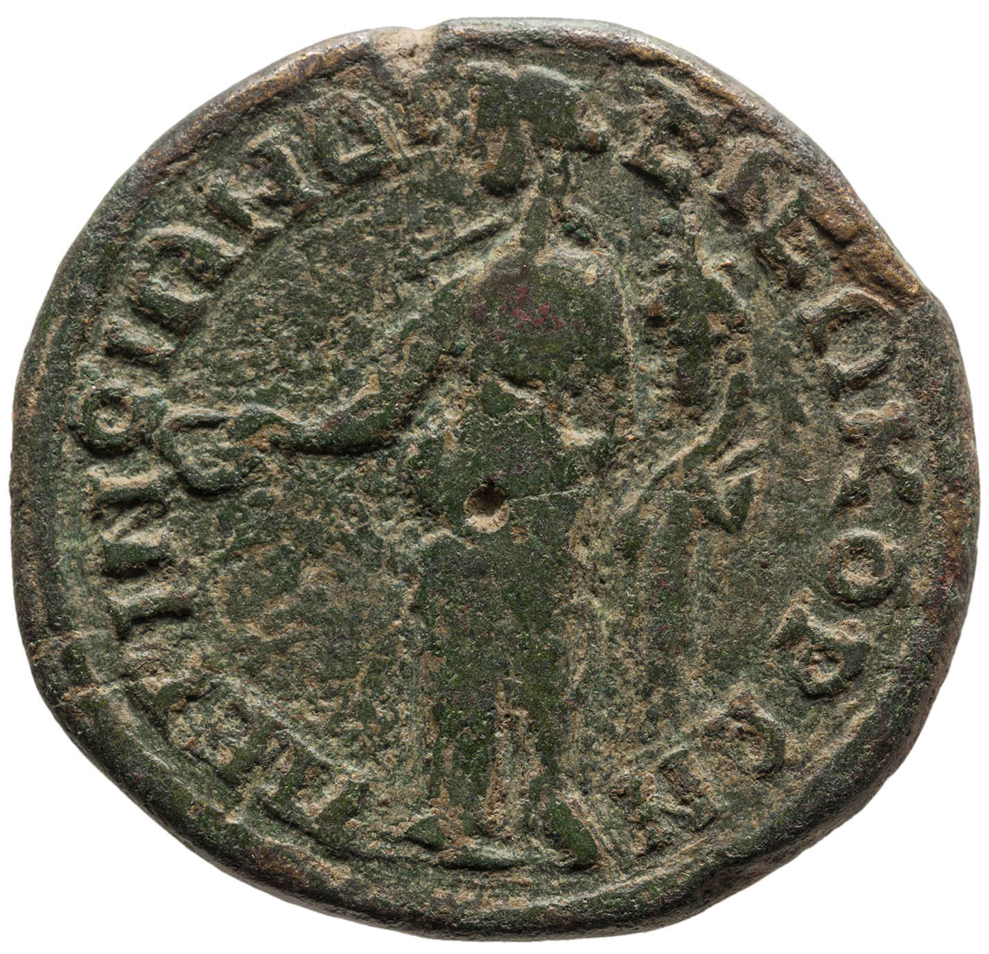 reverse CN Type cn.perinthus.1_ed.515
