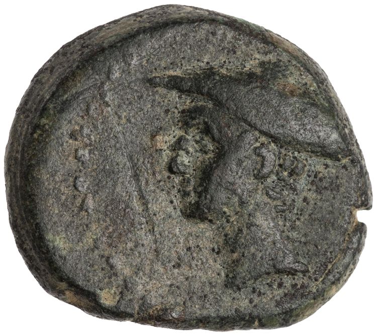 CN Type cn.sestus.1_ed.47, аверс, cn-coins