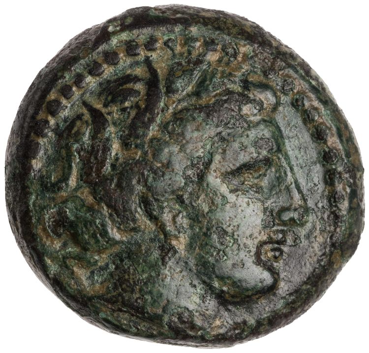 CN Type cn.sestus.1_ed.10, аверс, cn-coins