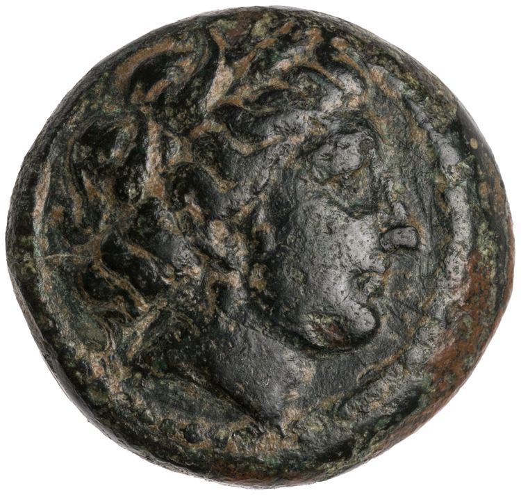 CN Type cn.sestus.1_ed.10, аверс, cn-coins