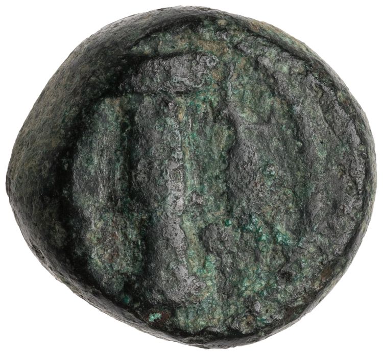 CN Type cn.sestus.1_ed.17, аверс, cn-coins