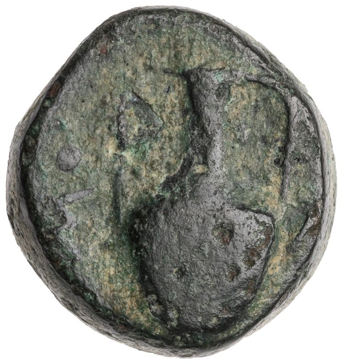 CN Type cn.sestus.1_ed.17, реверс, cn-coins
