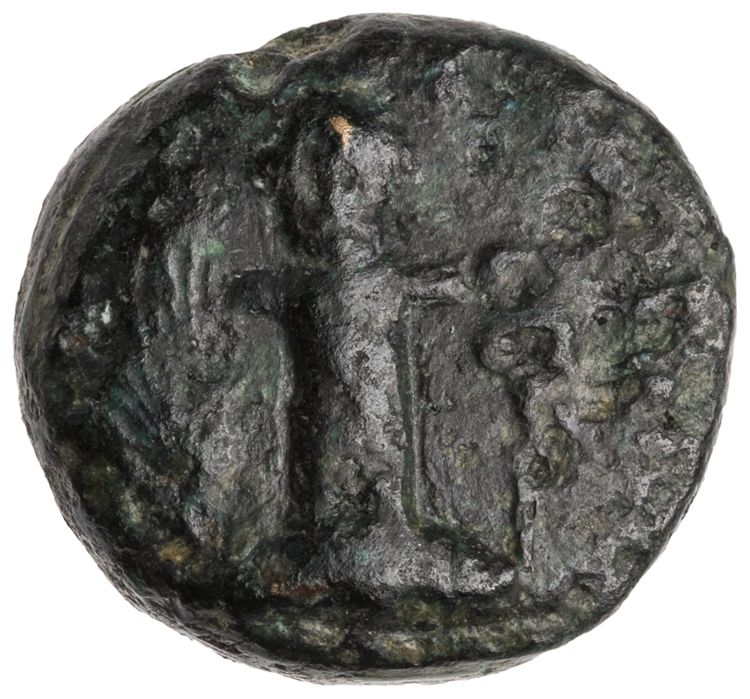 CN Type cn.sestus.1_ed.21, аверс, cn-coins