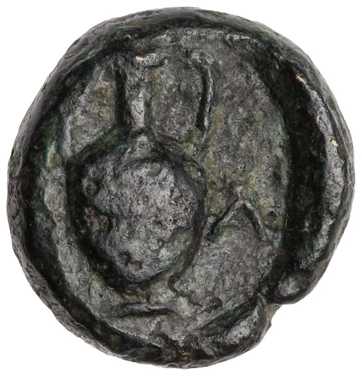 CN Type cn.sestus.1_ed.21, реверс, cn-coins