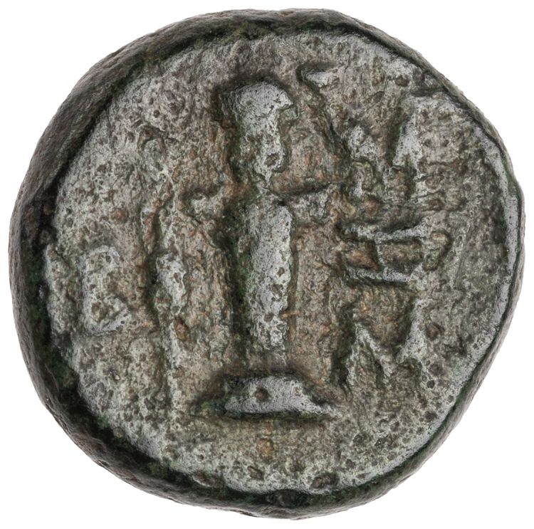 реверс CN Type cn.sestus.1_ed.19