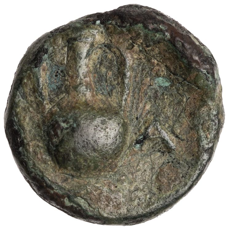 CN Type cn.sestus.1_ed.21, реверс, cn-coins