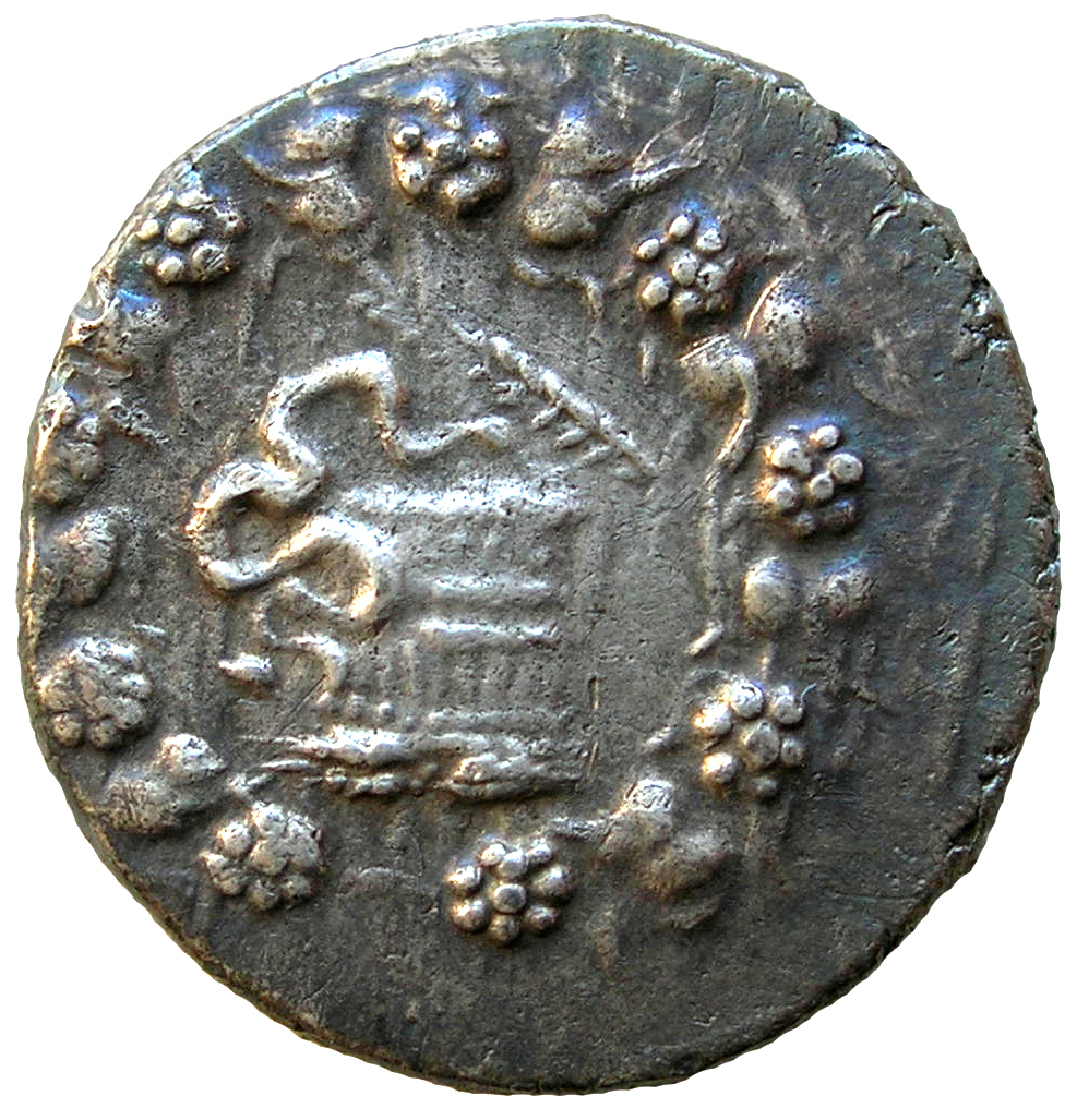 obverse CN Type 13024