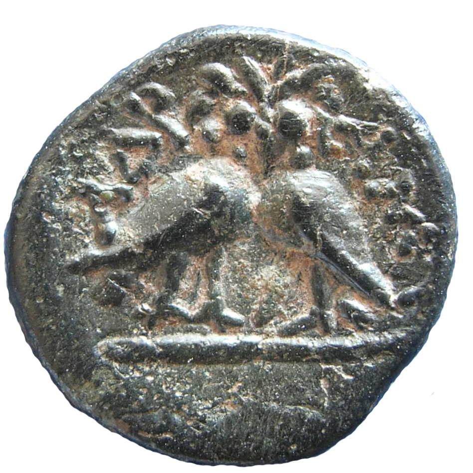 CN Type 3916, реверс, cn-coins