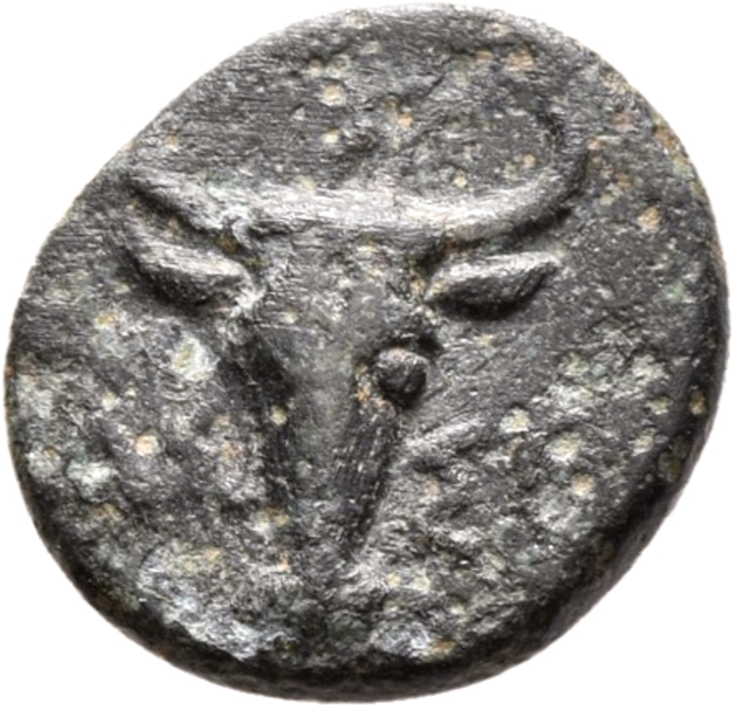 CN Type 12379, реверс, cn-coins