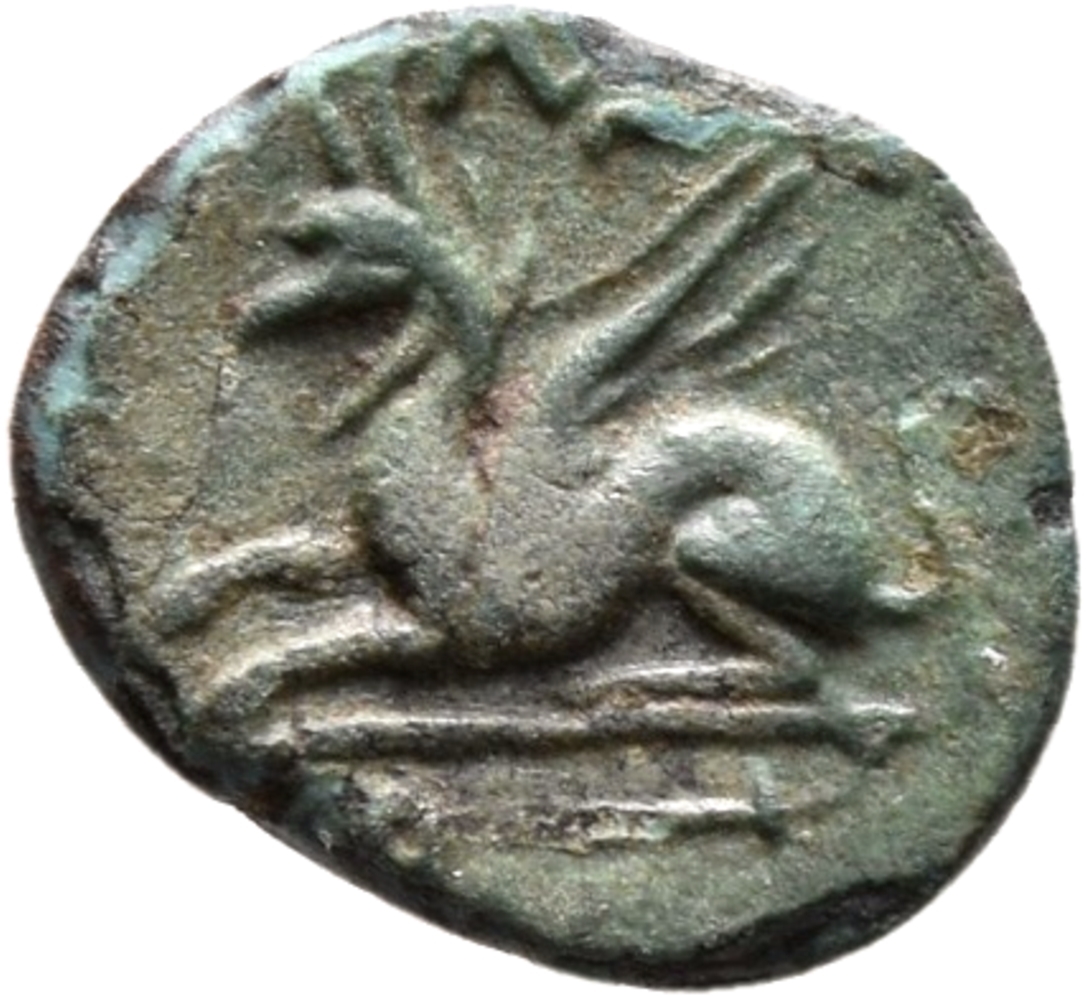 CN Type 19534, реверс, cn-coins