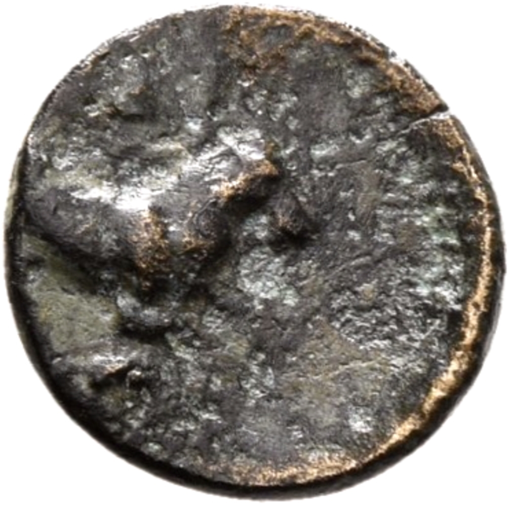 CN Type 12165, реверс, cn-coins