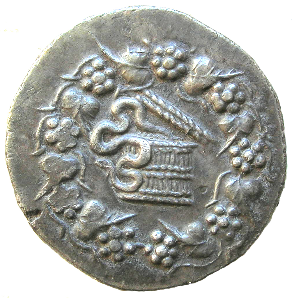 coin obv