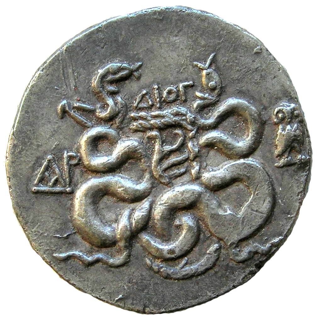 coin rev