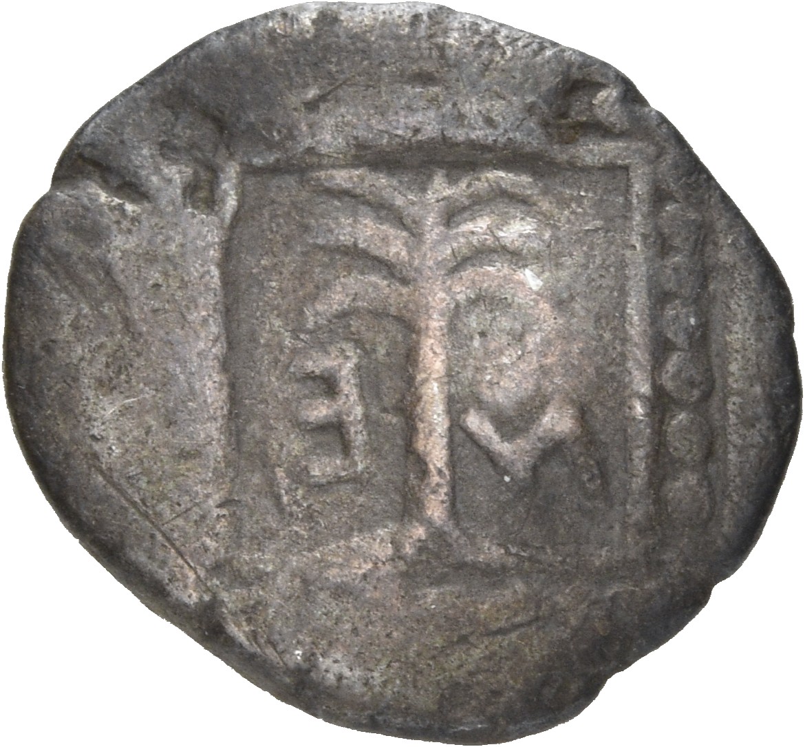 CN Type 19600, реверс, cn-coins