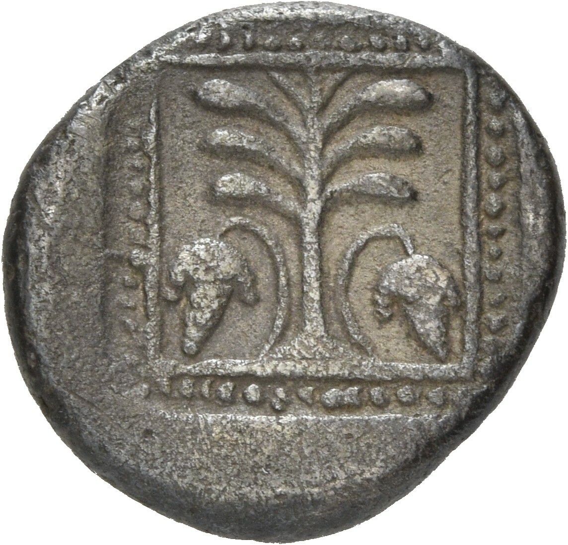 реверс CN Type 20820