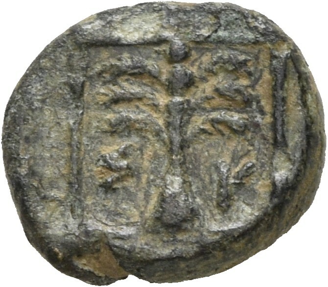 CN Type 19620, реверс, cn-coins