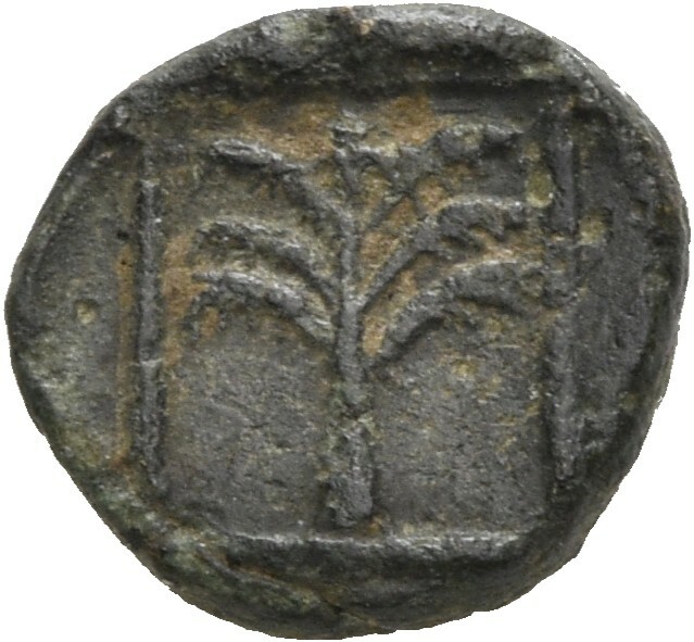 CN Type 19618, реверс, cn-coins