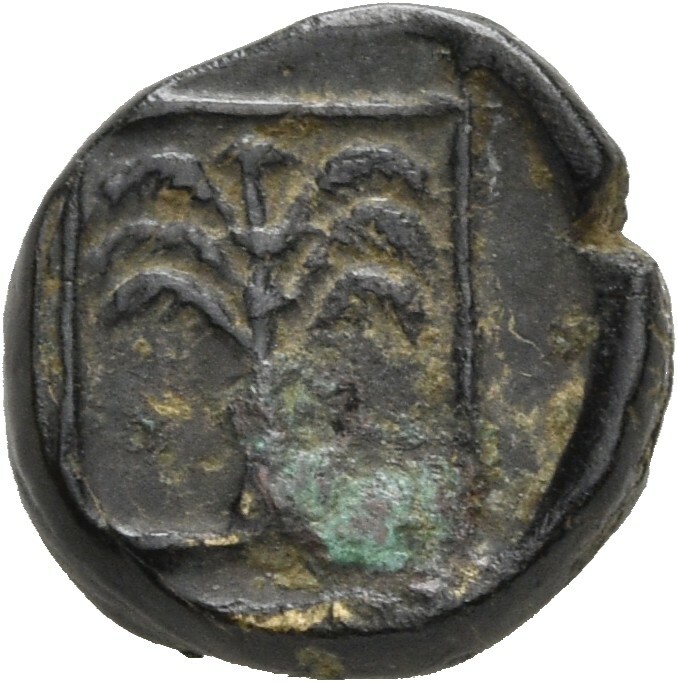CN Type 19618, реверс, cn-coins