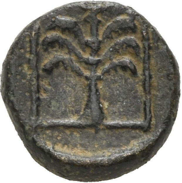 CN Type 19618, реверс, cn-coins