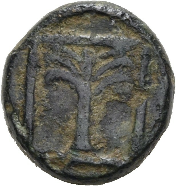 CN Type 19618, реверс, cn-coins