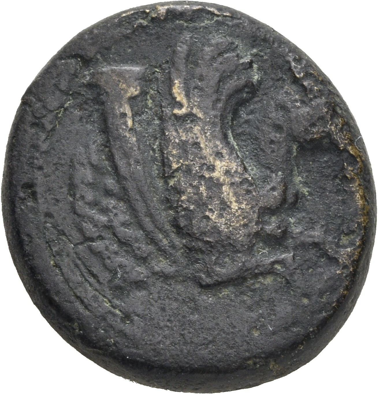 coin obv