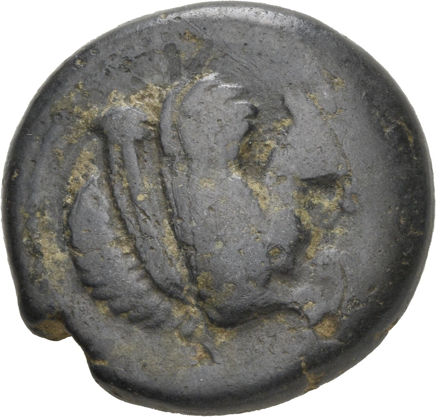 coin obv