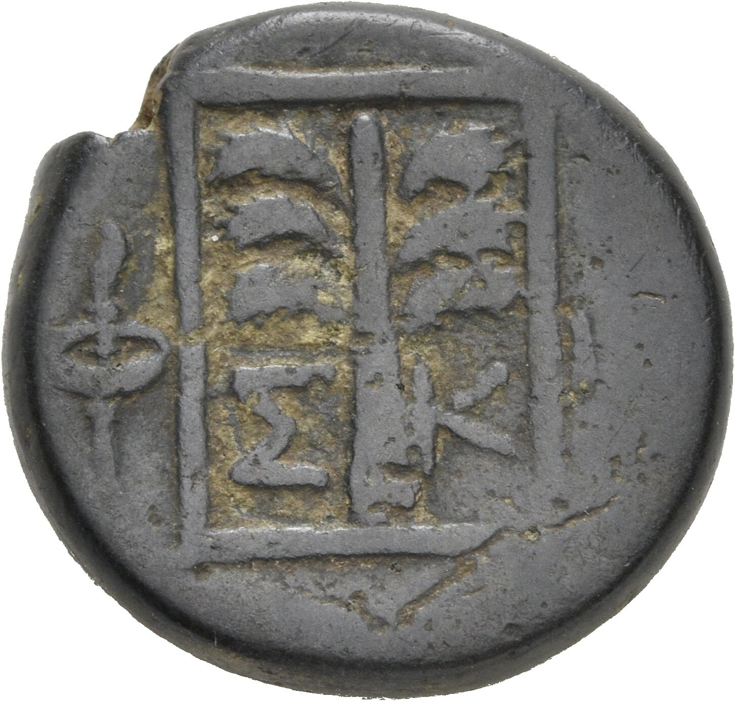 coin rev