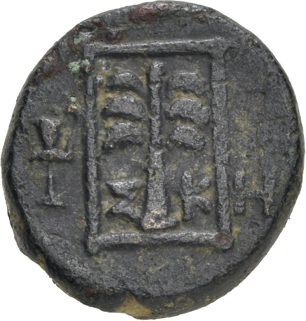 coin rev