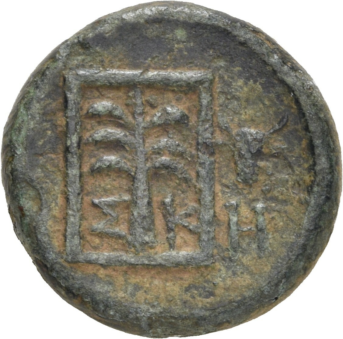 coin rev