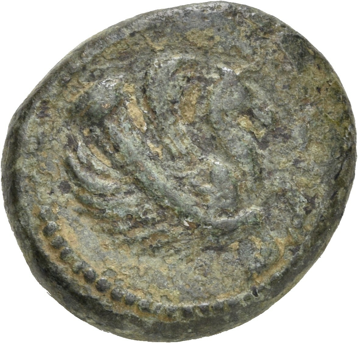 CN Type 19635, аверс, cn-coins