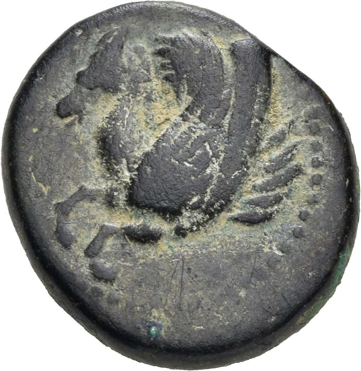 CN Type 19656, аверс, cn-coins