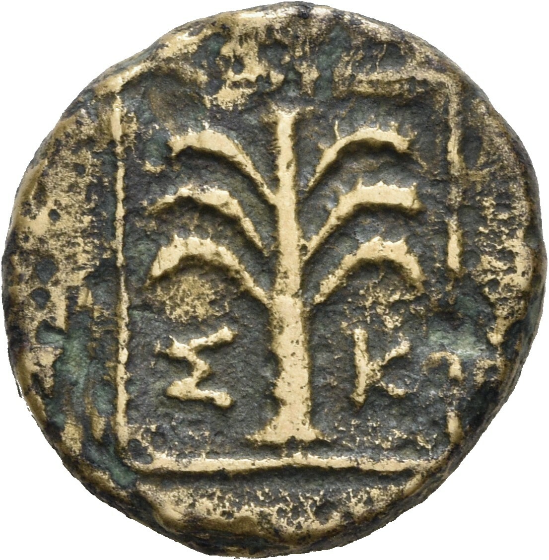 CN Type 19656, реверс, cn-coins