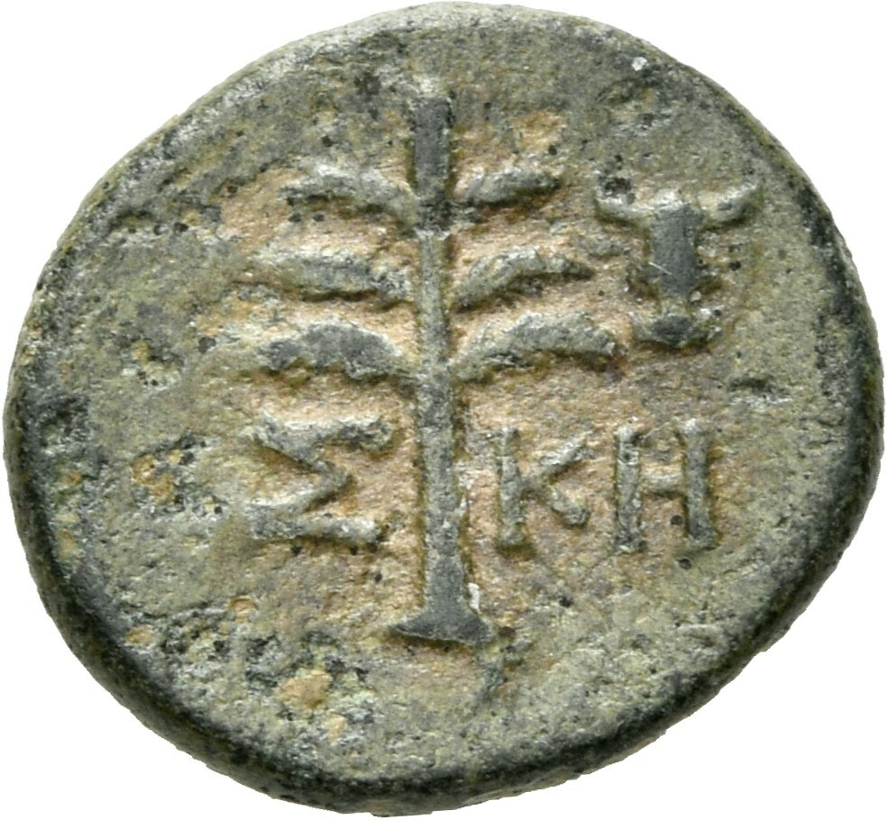 coin rev
