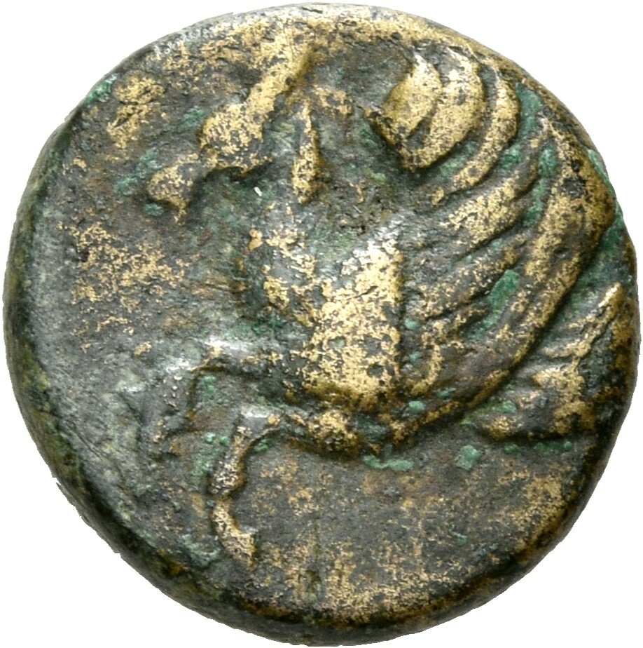 coin obv