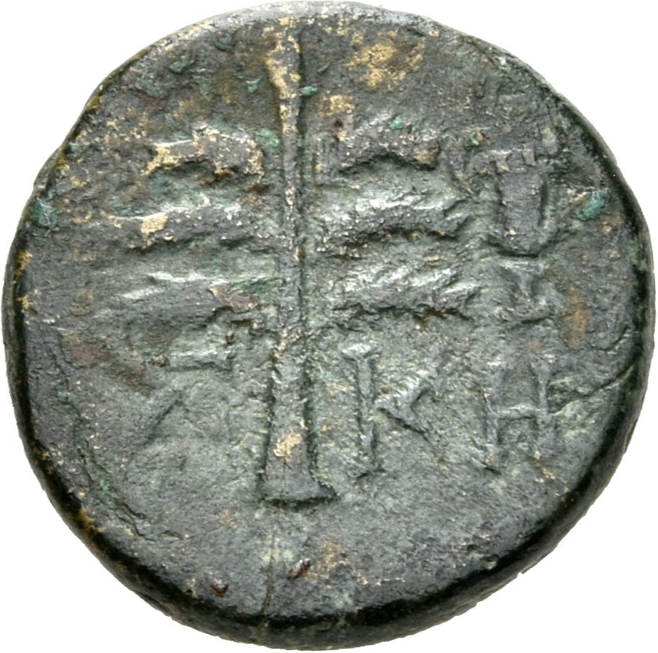 coin rev