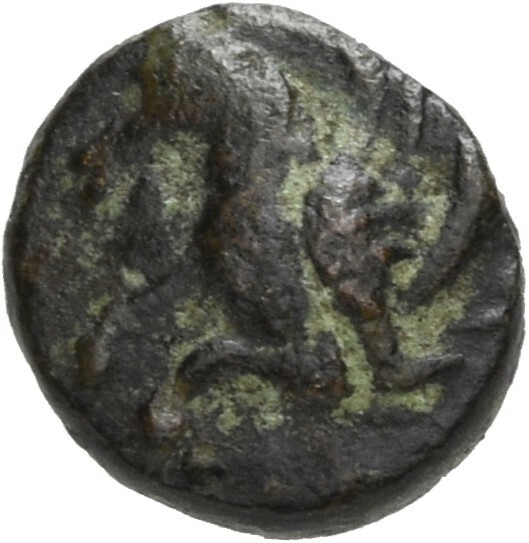 coin obv