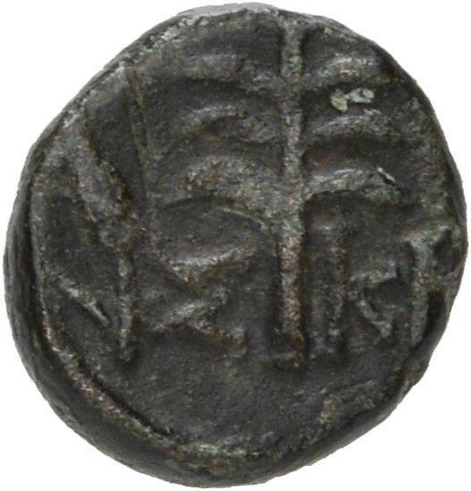 coin rev