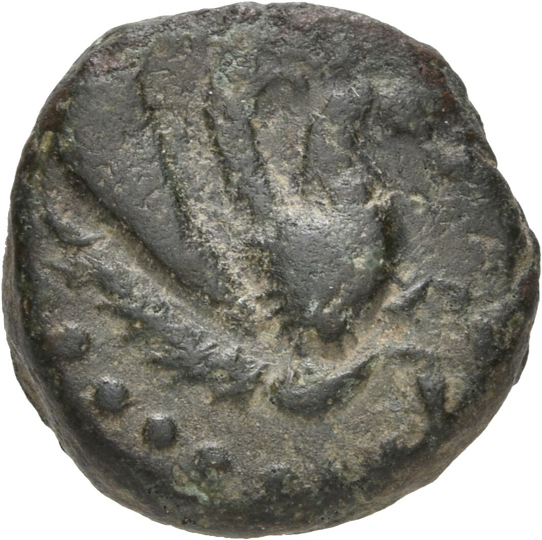 coin obv