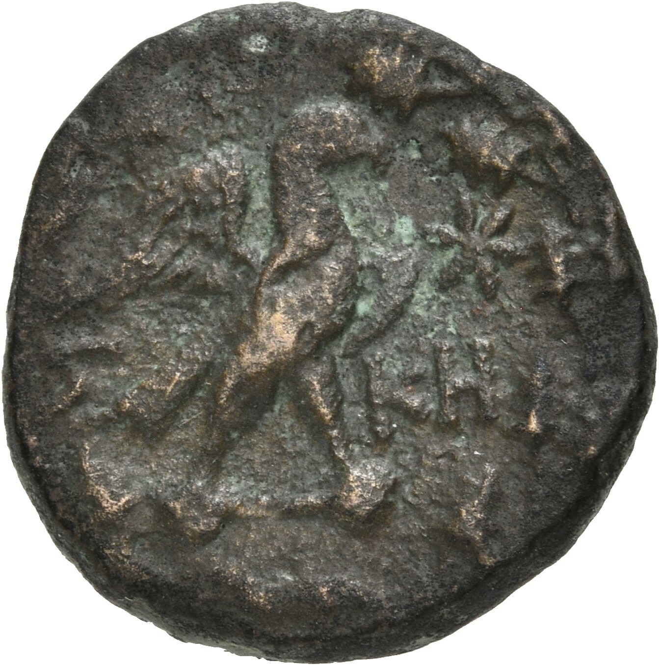 CN Type 19666, реверс, cn-coins