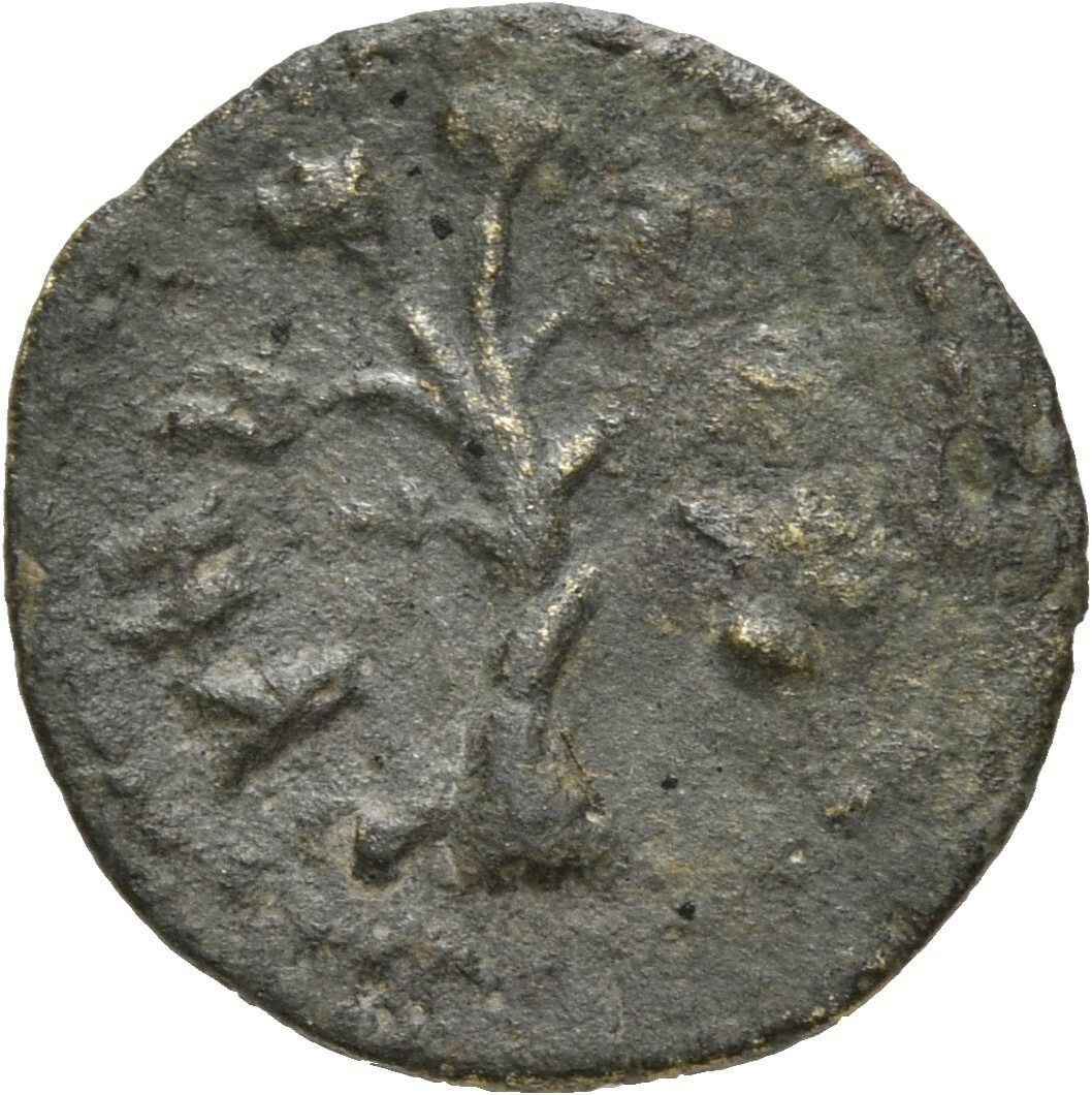 CN Type 18624, реверс, cn-coins