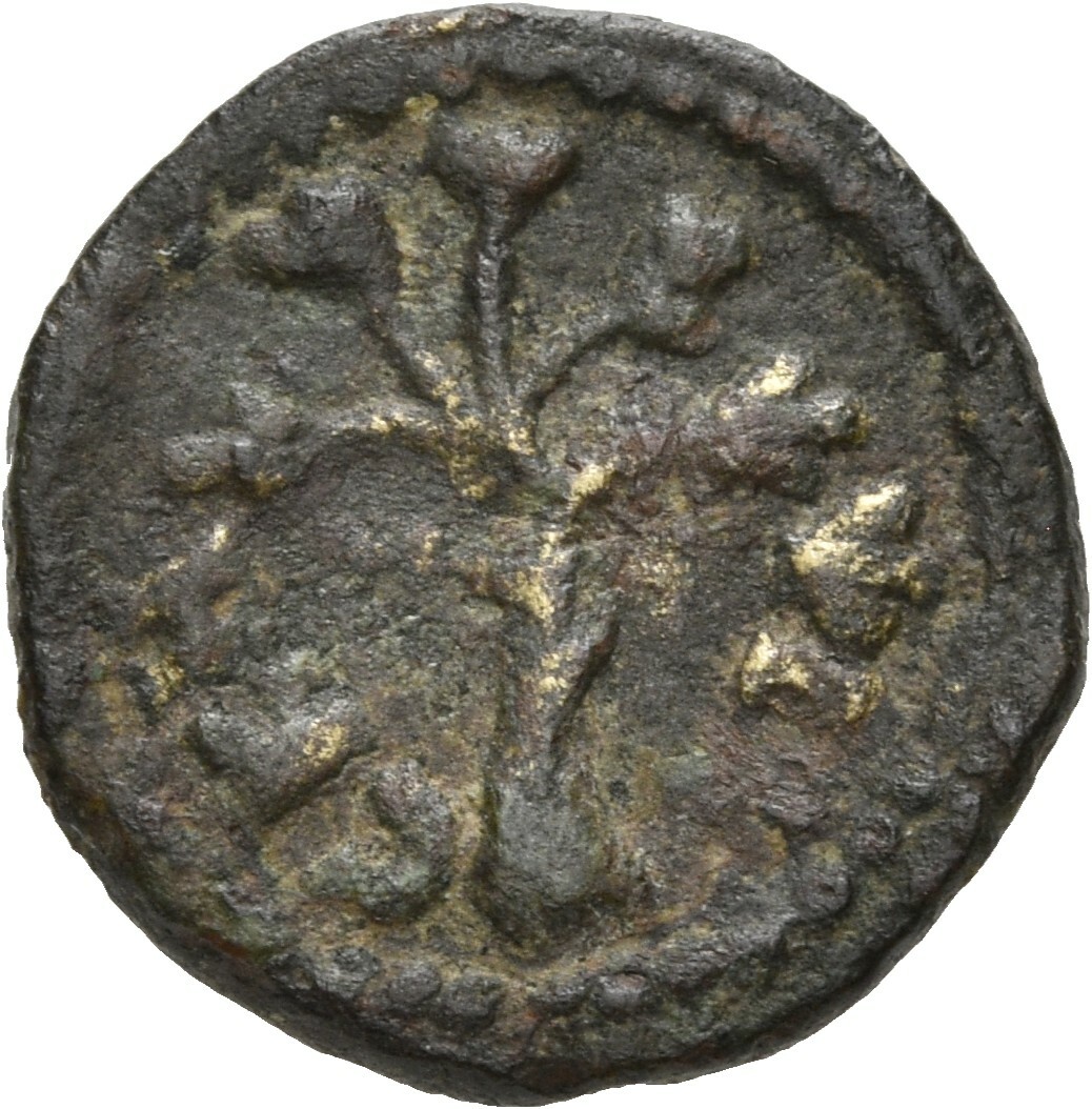 coin rev