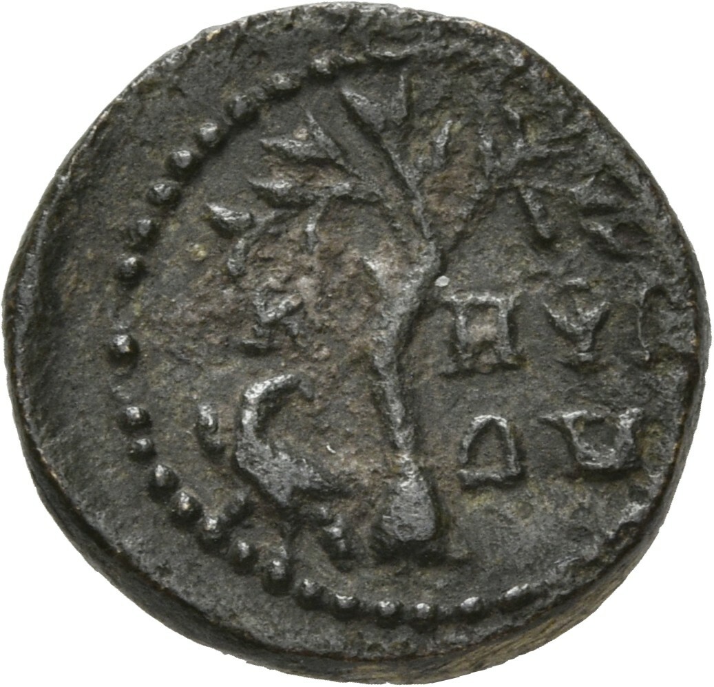 coin rev