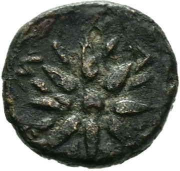 CN Type 19751, реверс, cn-coins