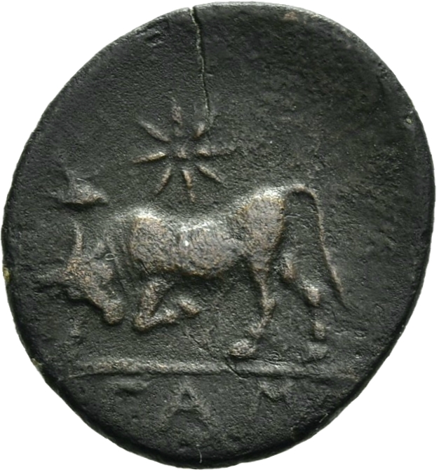 реверс CN Type 19754