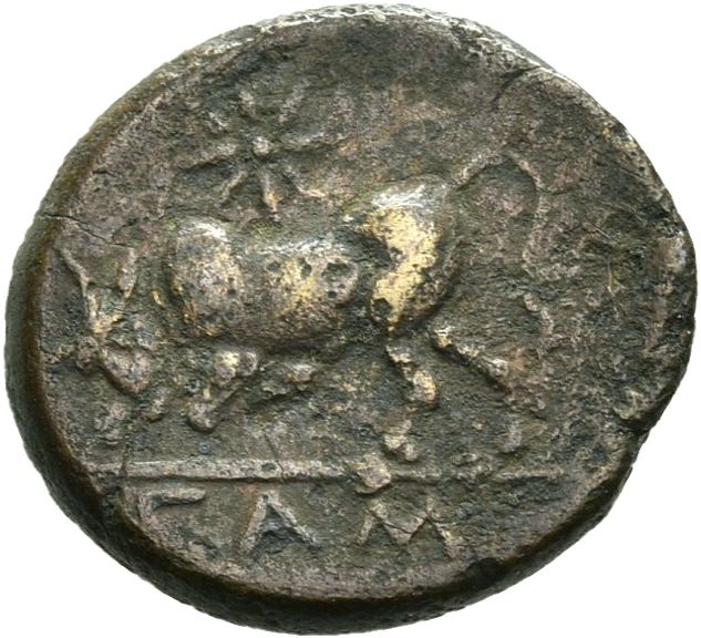 CN Type 19754, реверс, cn-coins