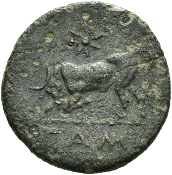 CN Type 19754, реверс, cn-coins