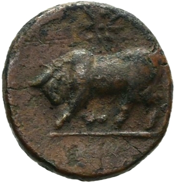 CN Type 19755, реверс, cn-coins