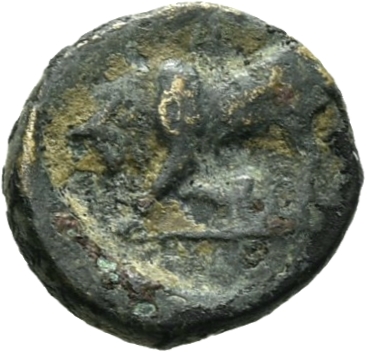 CN Type 19755, реверс, cn-coins