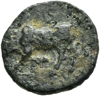 CN Type 19755, реверс, cn-coins